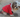 Adorable Shih Tzu dog in a red sweater, sitting outdoors.