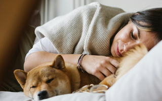 Woman sleeping peacefully with her Shiba Inu dog