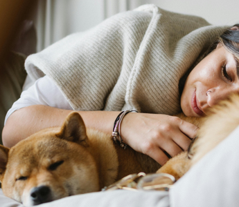 Woman sleeping peacefully with her Shiba Inu dog