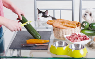 The Benefits of Fresh Food for Dogs: A Complete Guide