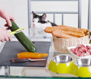 Person preparing homemade pet food with carrots, zucchini, and meat.  Cat and dog watch nearby.