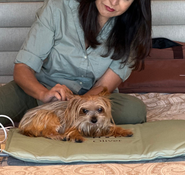 Yorkshire Terrier dog relaxes on a NYP OLIVER PEMF Therapy Mat