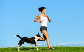 Woman jogging with her border collie dog outdoors on a sunny day.