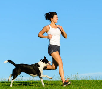 Woman jogging with her border collie dog outdoors on a sunny day.
