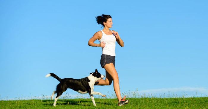 Unleashing the Power of Dog Exercise