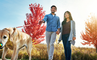 Happy couple walking their dog on an autumn path