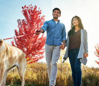 Happy couple walking their dog on an autumn path