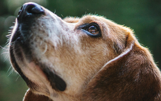 Understanding Anger in Grief: Why Feeling Mad Means You’re Healing