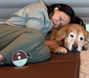 Woman naps with her Golden Retriever, using a Gina device for relaxation.  NYP logo visible.