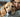 Man cuddling golden retriever dog