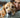 Man cuddling golden retriever dog