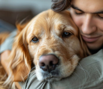 Man cuddling golden retriever dog