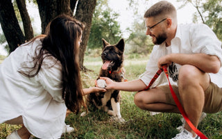 Couple petting their Akita Inu dog in a park