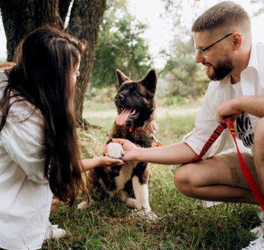Couple petting their Akita Inu dog in a park