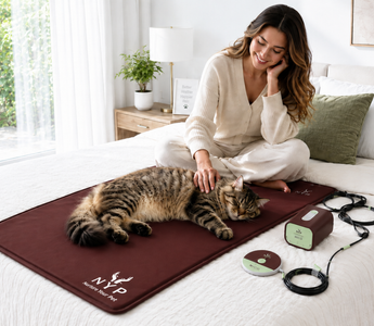 PEMF For Cats: Is It Safe And Which Device Is Right For Your Pet?