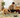PEMF for Dogs With Allergies