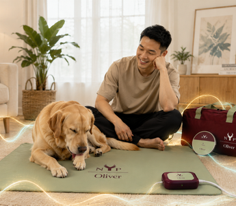 PEMF for Dogs With Allergies