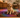 10 Questions to Ask Before Buying Any PEMF Device for Your Pet