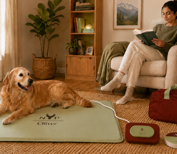 What Happens During Your Pet's First PEMF Session?