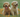 Do Dogs Remember Their Siblings ?