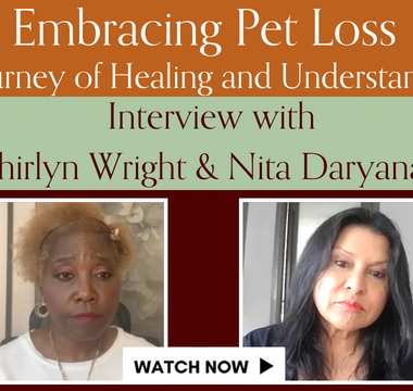 Embracing Pet Loss: A Journey of Healing and Understanding