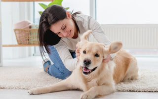 Happy woman playing with her Golden Retriever dog on a fluffy rug.
