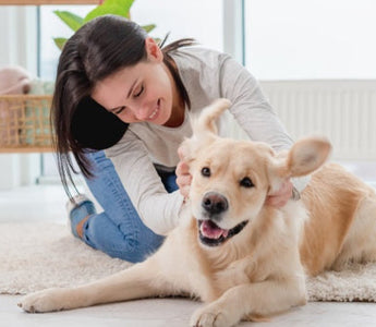 Happy woman playing with her Golden Retriever dog on a fluffy rug.
