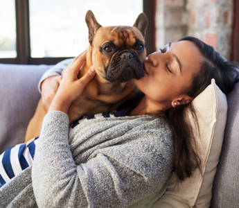 Woman cuddling and kissing her French Bulldog on a couch