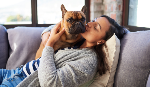 How Do Dogs Choose Their Primary Human?
