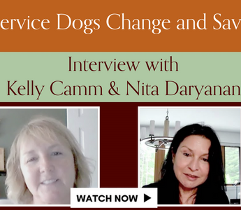 How Service Dogs Change & Save Lives