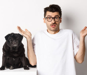 Confused man with glasses and black pug dog