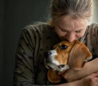How to Cope with The Loss of A Pet
