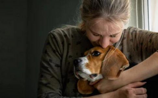 Woman lovingly hugs her beagle dog.