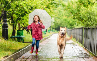 Girl and Golden Retriever run in rain, girl holds umbrella.