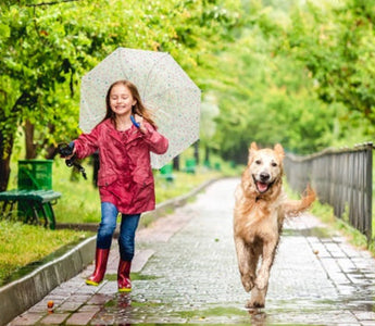Girl and Golden Retriever run in rain, girl holds umbrella.