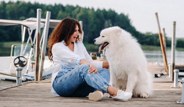 How to spend Quality Time with your dog despite busy Schedule