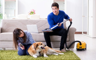 Couple cleaning home, woman brushing dog, man vacuuming