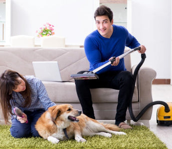Couple cleaning home, woman brushing dog, man vacuuming
