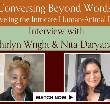 Unlocking the Animal-Human Connection