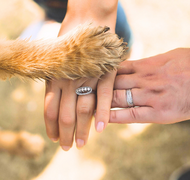 Embracing Love: A Letter on Healing from Pet Loss