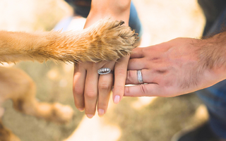 Couple and dog paw stacked together, woman's engagement ring and man's wedding band visible.