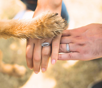 Couple and dog paw stacked together, woman's engagement ring and man's wedding band visible.
