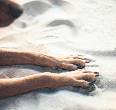 A Letter from Jack About Grief and Cherished Memories