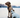 Two dogs, a Wirehaired Pointing Griffon and a Jack Russell Terrier, sit together on a frozen lake.
