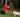 Girl in red dress walks two dogs, one black, one white, wearing a face mask.