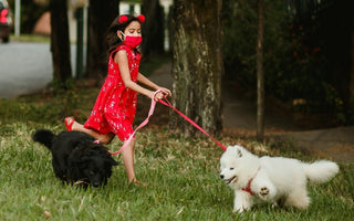 Girl in red dress walks two dogs, one black, one white, wearing a face mask.