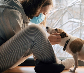 Woman in face mask petting dog by window