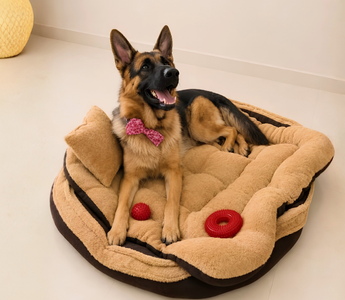 Moti the German Shepherd dog wearing a pink bow tie on a plush dog bed.