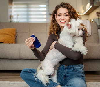 Pet Care During a Pandemic: Keeping Your Companion Healthy and Happy