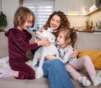 Holistic Pet Care: A Comprehensive Approach to Wellness